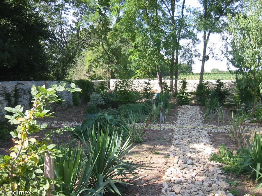 Jardin de fleurs et légumes