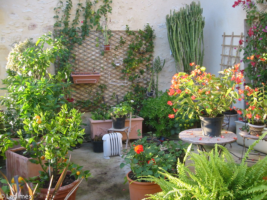 Orangerie