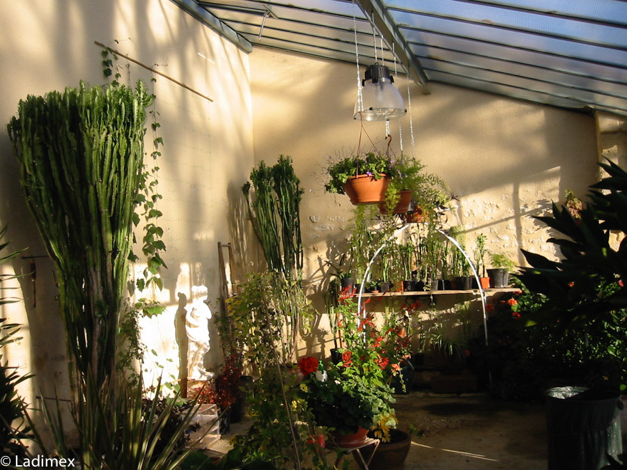 Orangerie 1
