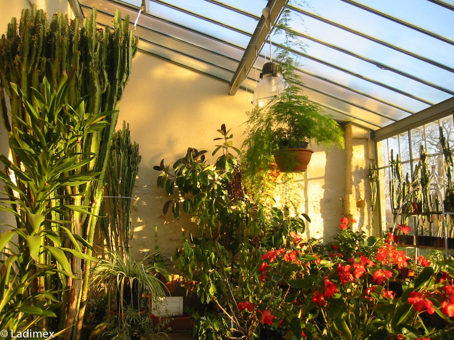 Orangerie 2