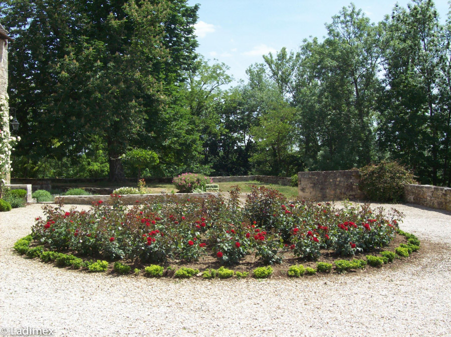 Rond de roses